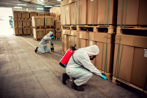 Best Rat Extermination Near Me  in Wooster, AR