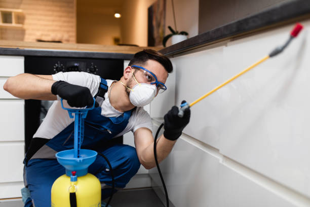 Best Cockroach Control Services  in Wooster, AR