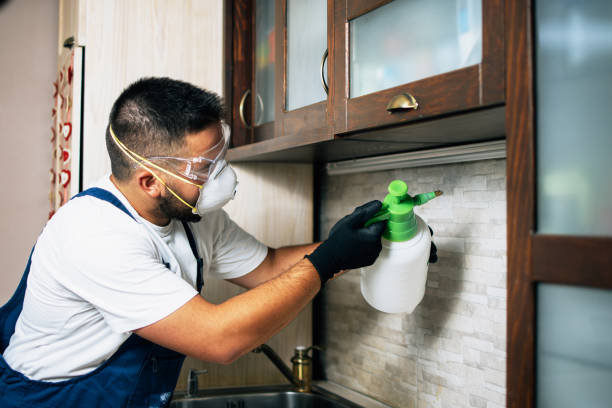 Best Bed Bug Extermination  in Wooster, AR