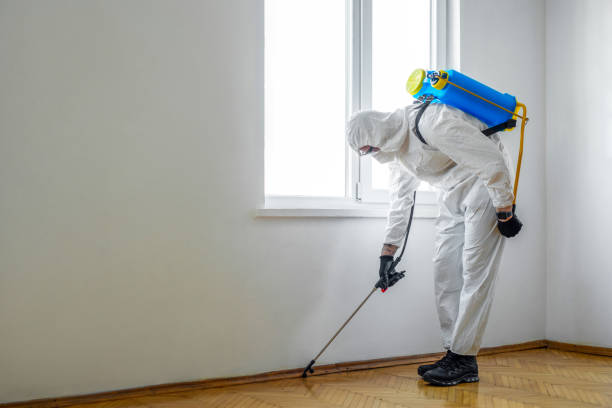 Best Best Pest Control Companies  in Wooster, AR