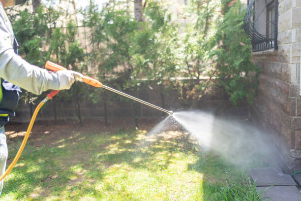 Best Exterminator Services  in Wooster, AR