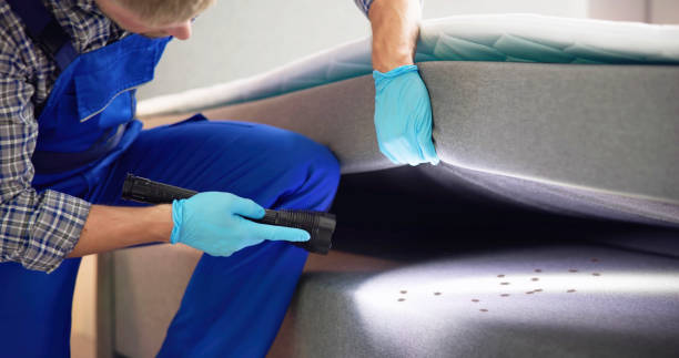Best Flea Control Services  in Wooster, AR