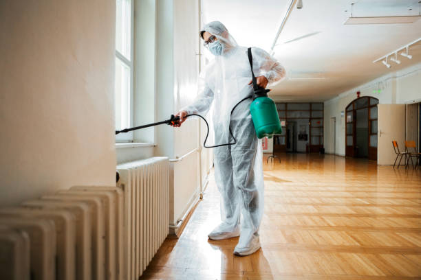 Best Local Pest Control Services  in Wooster, AR