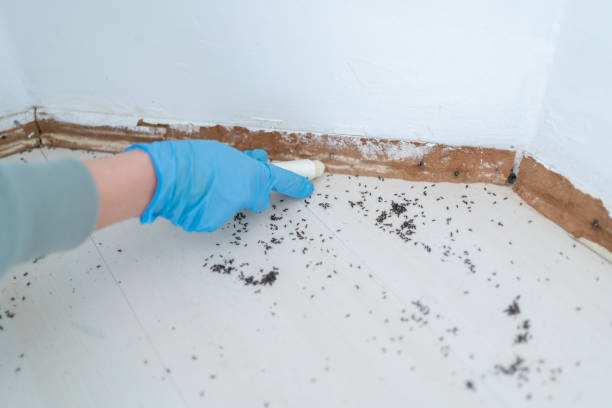 Best Best Pest Control Companies  in Wooster, AR